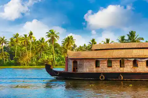 Cochin: Alleppey Houseboat Day Cruise with Lunch