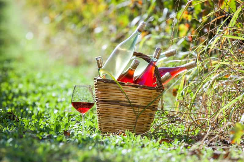 Solvang: Santa Ynez Valley Wine Tours w/ Lunch & Tastings | GetYourGuide