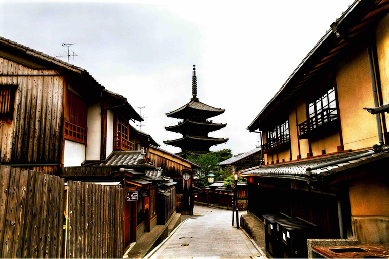 From Osaka/Kyoto: Nara Private Day Tour with Hotel Pickup Comfortable Toyota Hiace for Big Group Upto 10 persons