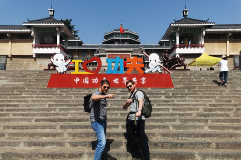 Tour privado al templo Shaolin y a las grutas de Longmen