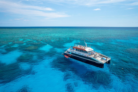 Cairns : Circuit de 2 jours de la Grande Barrière de Corail et de l'île de Fitzroy