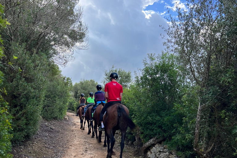 Menorca: 45-minute horse riding tour through the Son Boter Valley