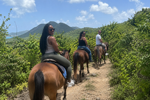 St. Maarten: Scenic Horseback Ride & Caribbean Sea Swim