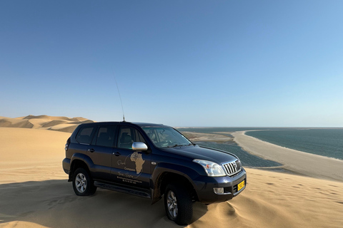 Walvisbay: Sandwich Harbour 4x4 Tour-Unparalleled Experience