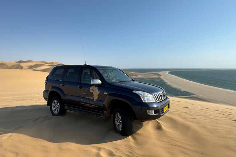Walvisbay: Sandwich Harbour 4x4 Tour-Unparalleled Experience