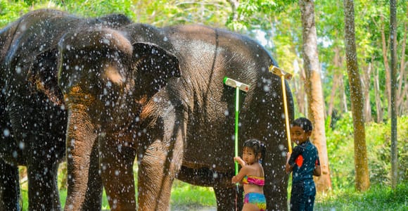 Phuket: Happy Hour Feed and Rain Shower with Elephant