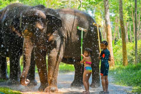 Phuket: Happy Hour Feed and Rain Shower with Elephant - 2026