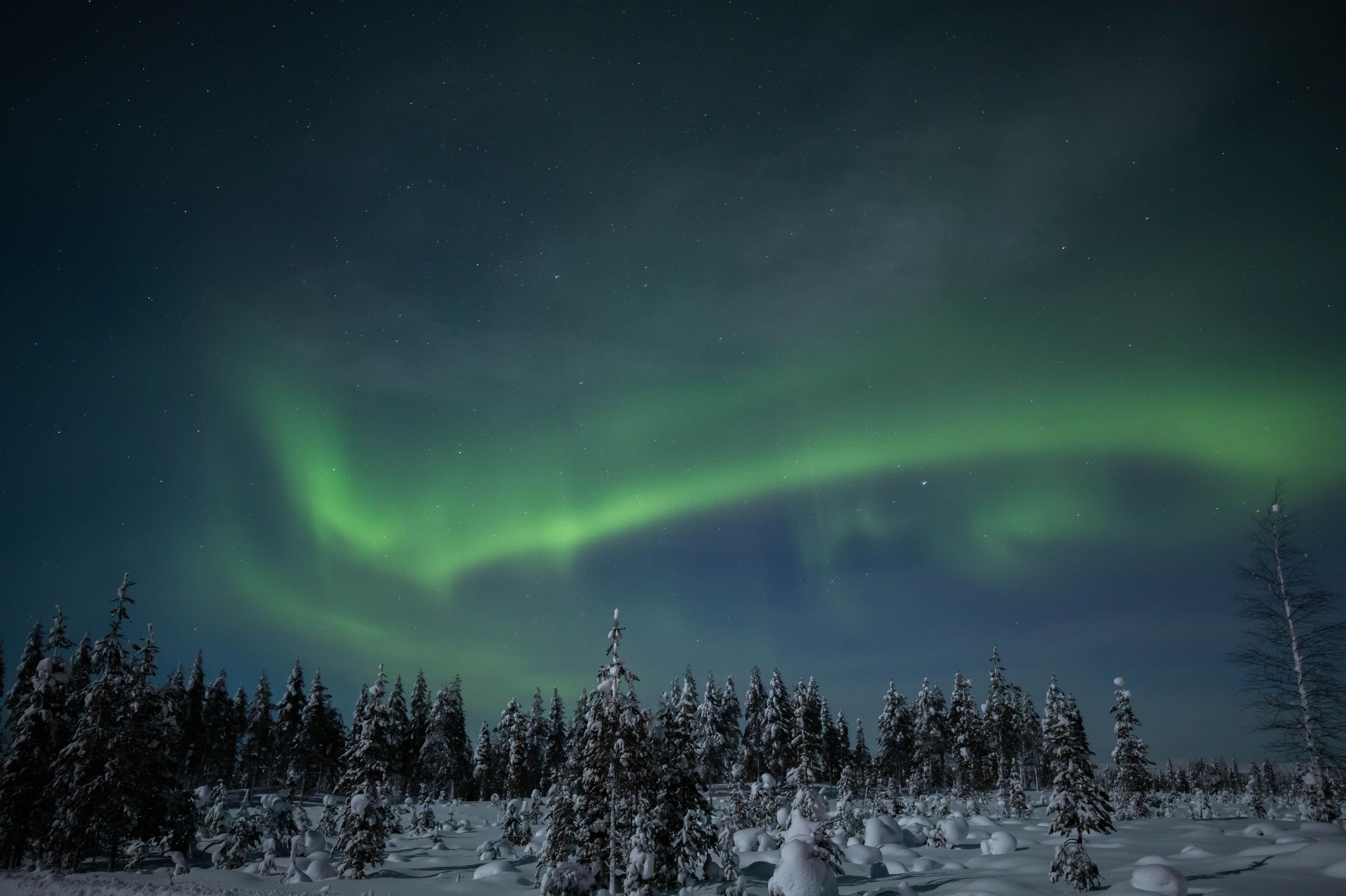 Rovaniemi: Nordlicht-Tour mit chinesischem Guide