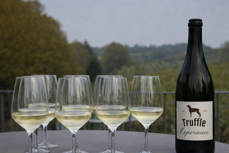 Langhe and Monferrato: Private Truffle Hunt and Wine Tasting