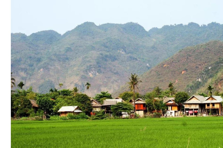 Incredible Mai Chau - Puluong - Ninh Binh: 3 Days, 2 NightsShare a dormitory in Pu Luong and a private room in Tam Coc