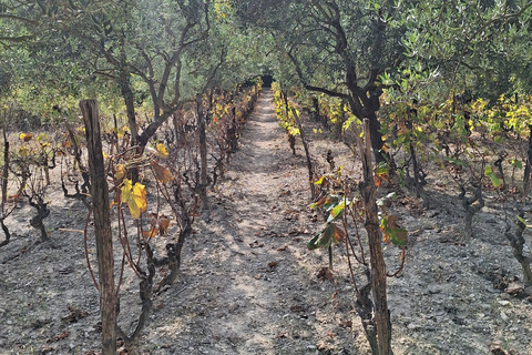 Excursión privada a las cataratas de Krka desde Split con Cata de Vinos y AlmuerzoOpción Estándar