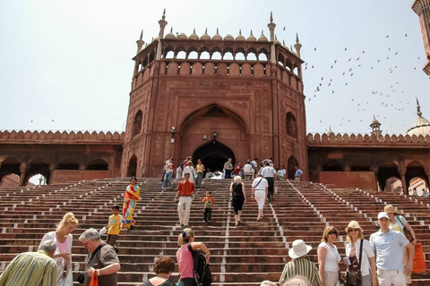 From Delhi: Private 5 Days Golden Triangle Guided Tour Private Tour with Car, Guide and 5 Star Hotel Accommodation