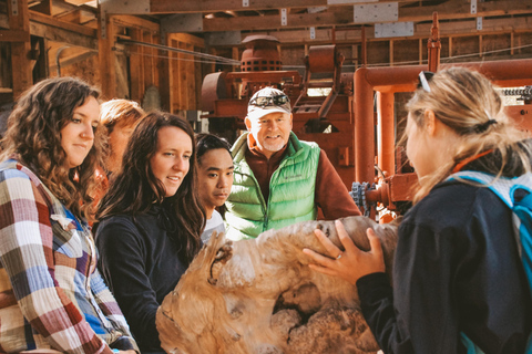Ketchikan: Alaska Rainforest Sanctuary and Totem Park Walk