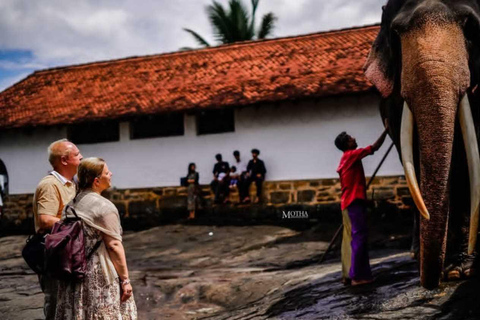 Kandy Evening City Tour & Dance Show Reservations by Tuk-Tuk Kandy evening tour