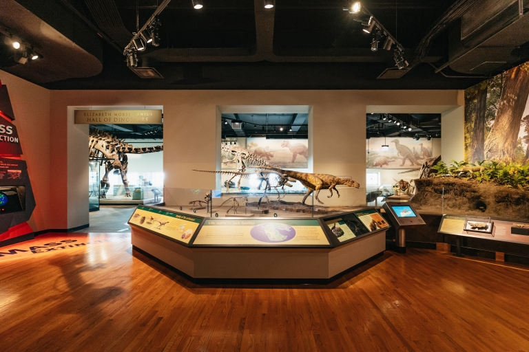 Chicago : billet pour le Field Museum of Natural History ou visite VIPBillet d'entrée au musée All-Access Pass
