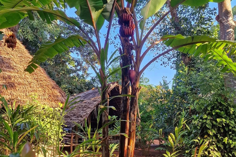 Zanzibar : Stone Town, visite des épices et de l'île prison avec déjeunerVisite privée