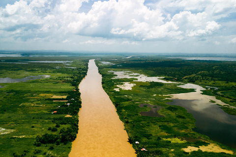 Cartagena: Excursão privada de observação de aves no Canal del dique