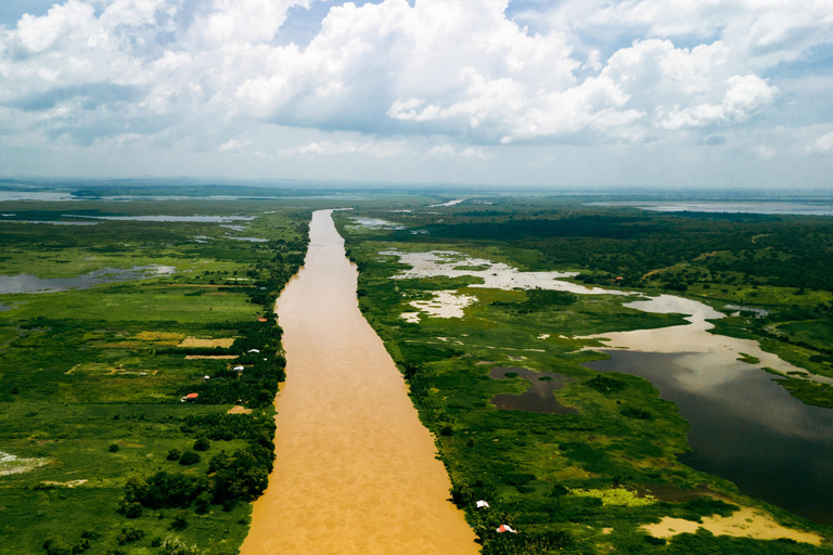 Cartagena: Excursão privada de observação de aves no Canal del dique