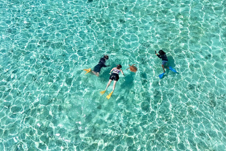 Private Snorkeling Trip To Gili Trawangan,Gili Meno,Gili Air Pick up from : Senggigi Area/Mataram Area