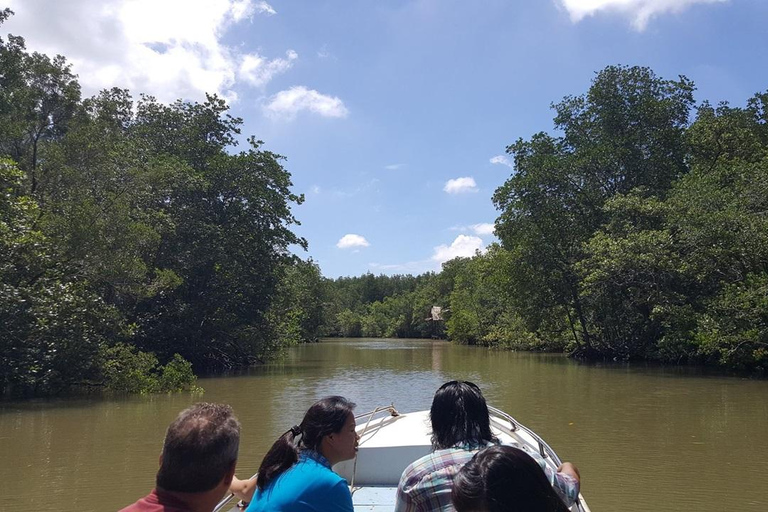 Au départ de Ho Chi Minh Ville : Visite en groupe de la forêt de mangroves de Can Gio