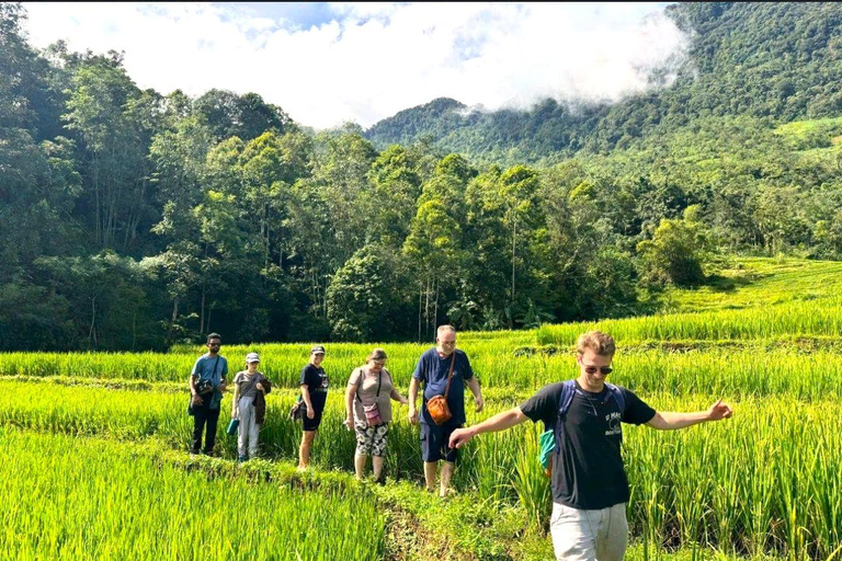 Hanoi/Ninh Binh: Mai Chau & Pu Luong 2-Day Trek & Local Life Option 3: Eco-Resort with Balcony Mountain view Room