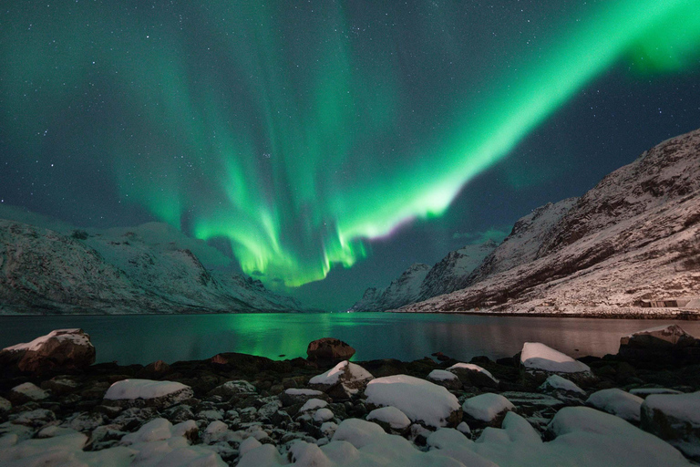 Tromsø: Northern Lights Tour with Local Guide and Photos