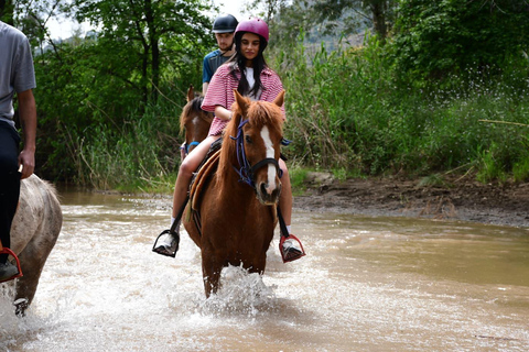 Marmaris: Horseback Riding Tour with Hotel Pickup