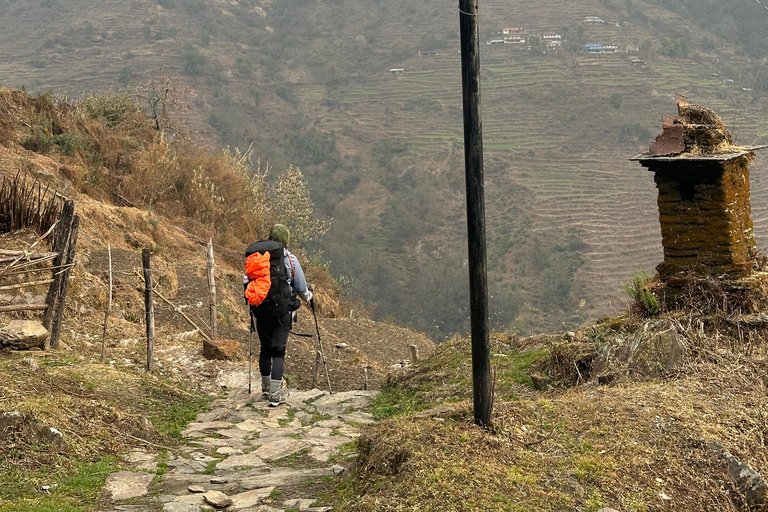 From Pokhara: 4-Day Ghorepani Poon Hill Trek with Guide