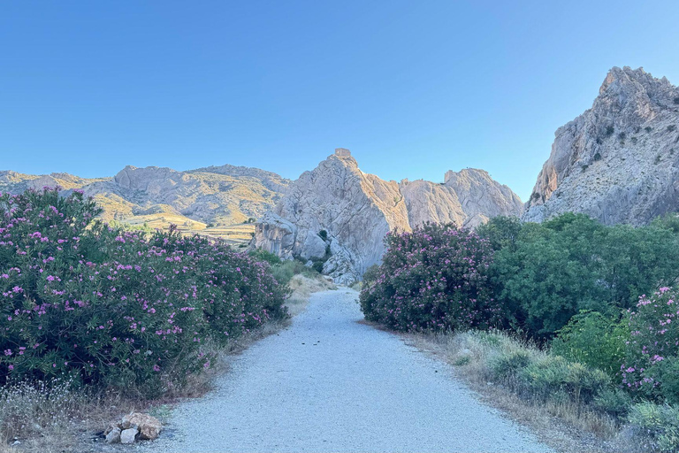 Da Istanbul: Göbekli Tepe e Monte Nemrut Tour di 2 giorniDa Istanbul: tour giornaliero di Göbekli Tepe e Şanlıurfa