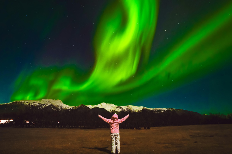Reykjavik: Northern Lights Tour with Chinese Guide冰岛雷市中文极光团 极光团（含Bus Stop #12免费接送）