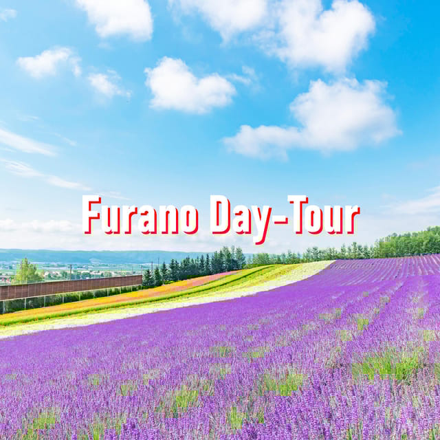 From Sapporo 10hour Customized Private Tour to Furano GetYourGuide