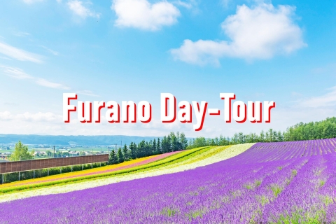 From Sapporo: 10-hour Customized Private Tour to Furano