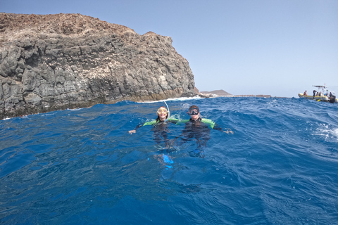 Teneriffa: Snorkelsafari i Puerto Colon med snabbgående båtTeneriffa: Puerto Colon Snorkel Safari med snabb båt