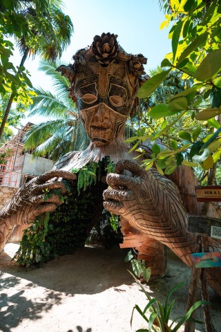 Tour Tulum and cenote casa tortuga
