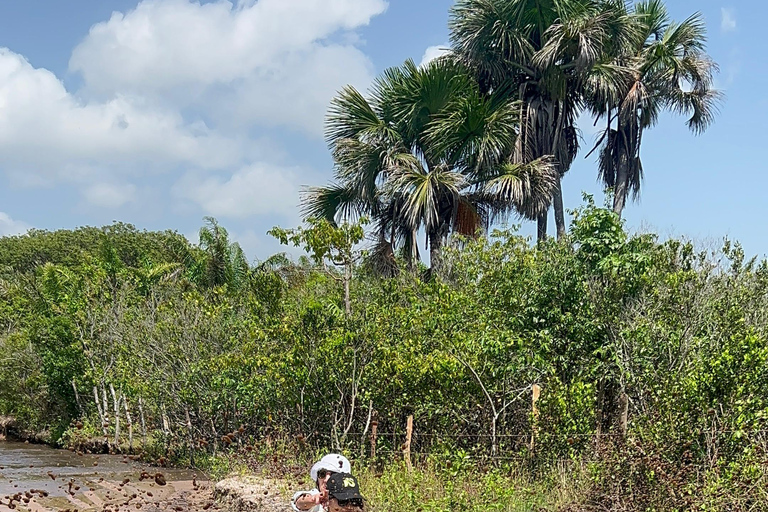 Half-day quad bike tour in the small Lencois