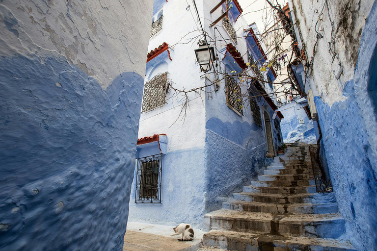 Från Marrakech : 7 dagars utforskning till Tanger via Merzouga sanddyner