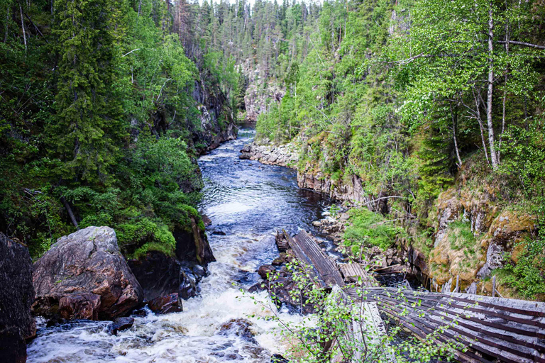 Rovaniemi: Korouoma Canyon and Auttiköngäs Falls Tour