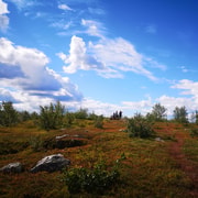 Kiruna : randonnée à Kurravaara