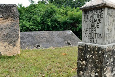 Zanzibar : excursion de plongée avec tuba dans le lagon bleu