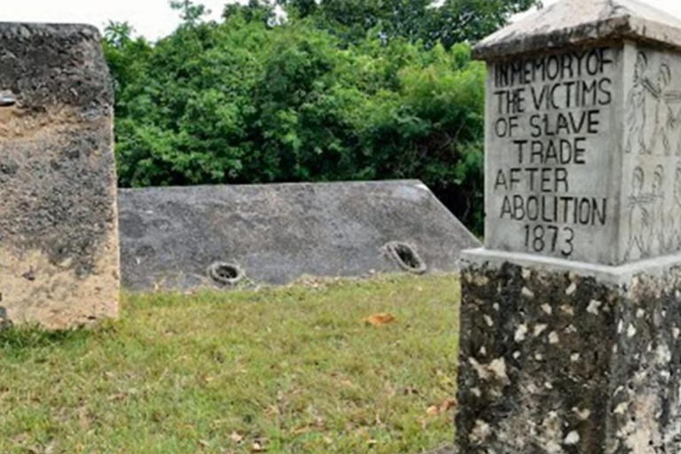 Zanzibar : excursion de plongée avec tuba dans le lagon bleu