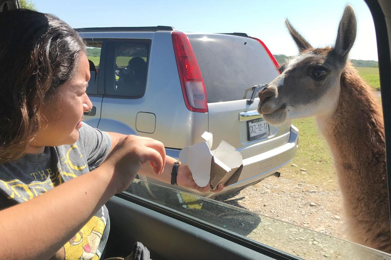 Tour &quot;Bioparque Estrella&quot;, com traslado, safári e ingressosMonterrey: Aventura de safári no Bioparque Estrella