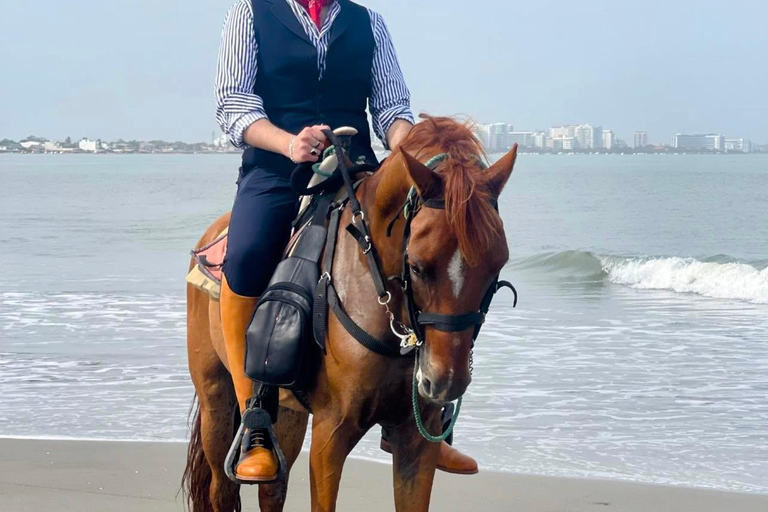 Horseback riding in Cartagena on the shores of the Caribbean Sea