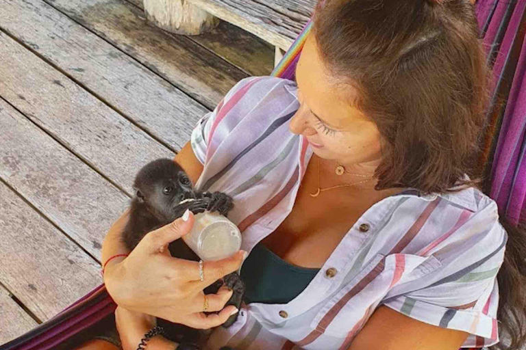 Bocas del Toro : tour en bateau de l&#039;île aux singes et de Cayo Coral