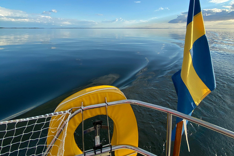 Estocolmo: Tour particular em um barco a velaPasseio de barco em Estocolmo