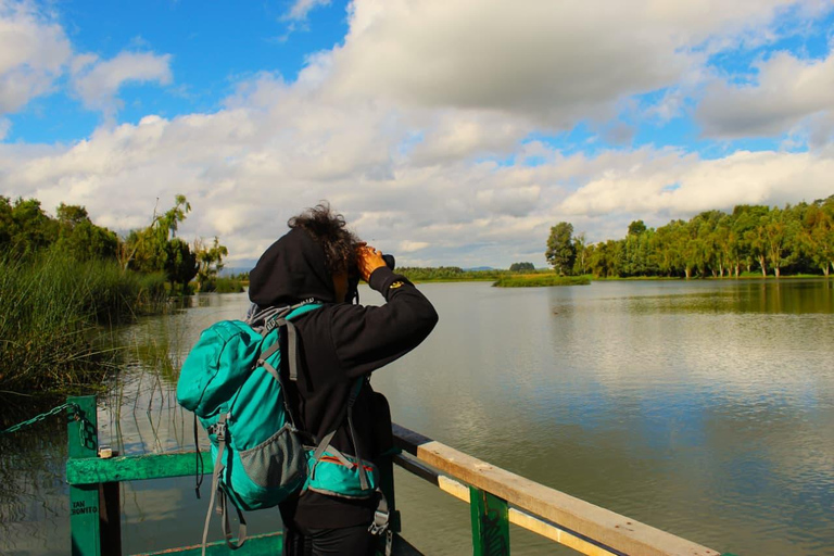 Birdwatching in Bogotá wetlands with Bakata Pajarera