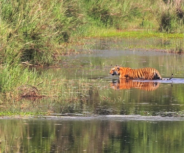 Kathmandu: 3-Day Chitwan Safari Tour with Hotel Transfers