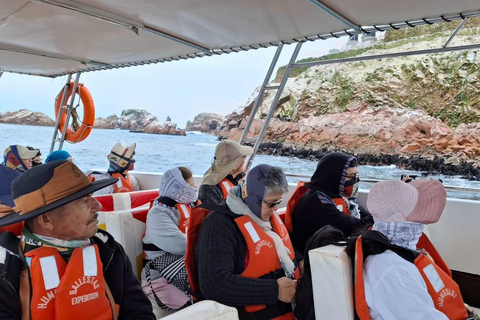 Sunrise in Paracas: Private Sailing to Ballestas Islands Sunrise in Paracas: Private Sailing to the Ballestas Islands