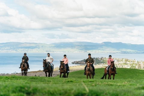 Rotorua: begeleide paardrijervaring