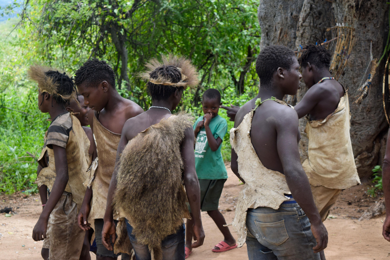 Tarangire-Nationalpark &amp; Eyasi-See (Datoga- &amp; Hadzabe-Dörfer)Premium Lodge im Tarangire-Nationalpark