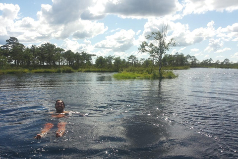 From Tallinn: Wild Swimming Trip with 4 Natural Waters